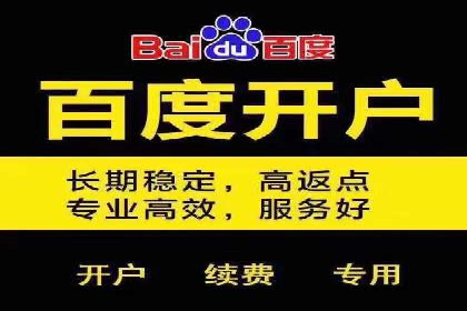 百度竞价广告投放实战案例分享