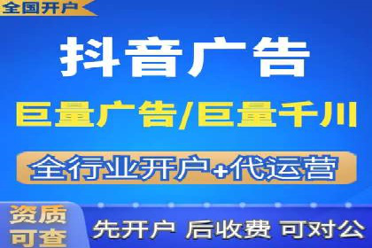 抖音信息流代理在电商行业的应用案例分析